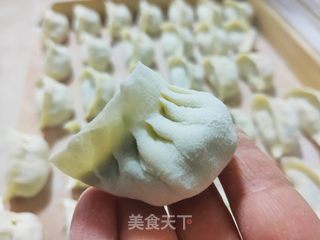 猪肉野菜饺子的做法步骤:13