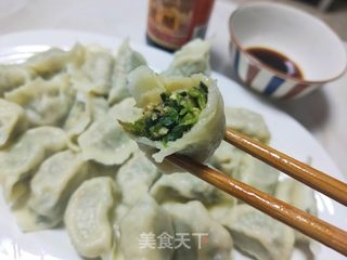 猪肉野菜饺子的做法步骤：16