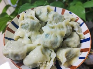 猪肉野菜饺子的做法步骤:17