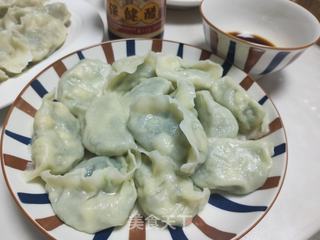 韭菜虾仁饺子的做法步骤：12