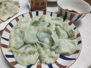 韭菜虾仁饺子的做法步骤:12