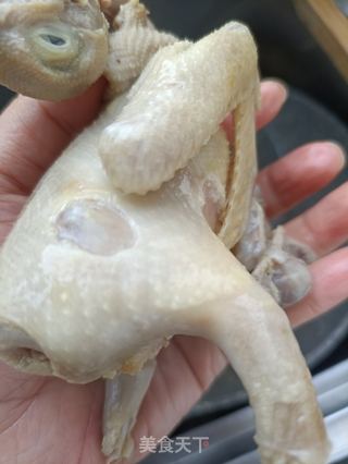 “一碗热粥”薏米鹌鹑粥的做法步骤:7