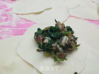 冻山芹菜猪肉馅水饺的做法步骤:6