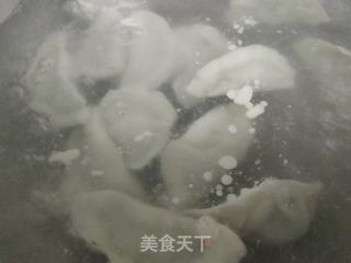 冻山芹菜猪肉馅水饺的做法步骤:8