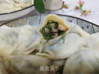 冻山芹菜猪肉馅水饺的做法步骤:9