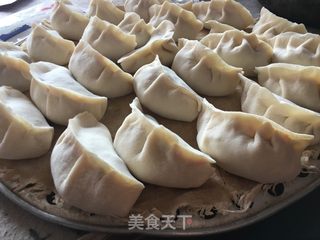 羊肉胡萝卜水煎饺的做法步骤：10