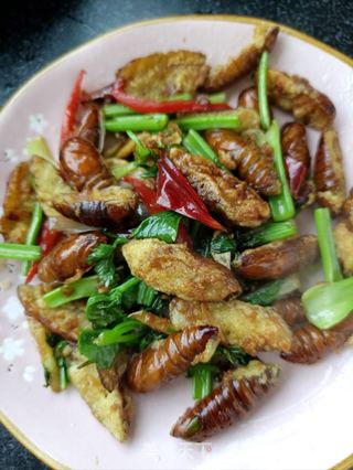 干煸蚕蛹的做法步骤:19