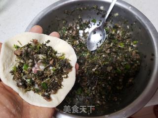 马齿菜肉包的做法步骤:14