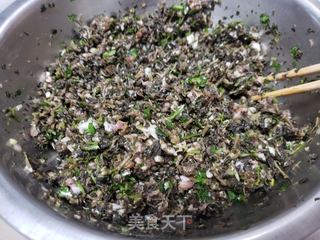 马齿菜肉饺子的做法步骤:2