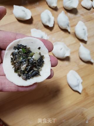 马齿菜肉饺子的做法步骤:6