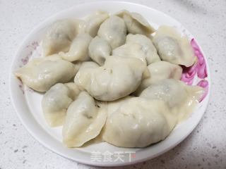 马齿菜肉饺子的做法步骤:8