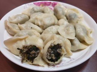 马齿菜肉饺子的做法步骤:10