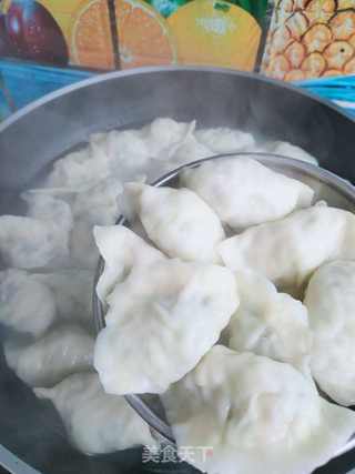 白菜木耳素馅饺子的做法步骤:14