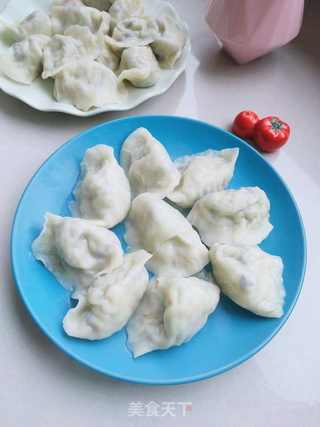 白菜木耳素馅饺子的做法步骤:15