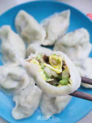 白菜木耳素馅饺子的做法步骤:16