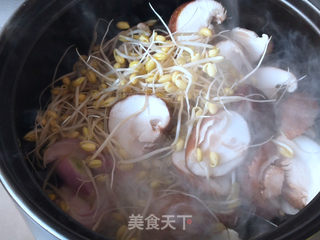 番茄鲜味锅的做法步骤:8