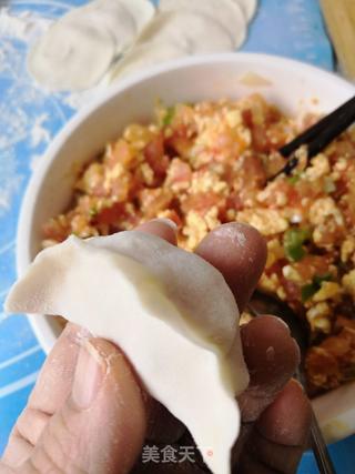 西红柿鸡蛋馅饺子的做法步骤:12