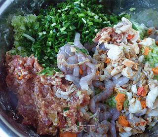 白菜——白菜全贝虾仁水饺的做法步骤:9