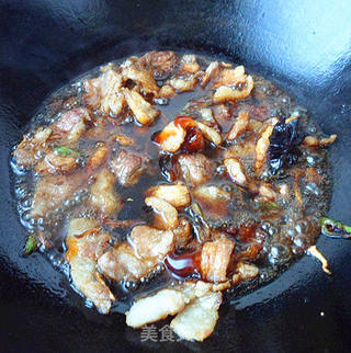 白菜——大白菜炖豆腐的做法步骤:5