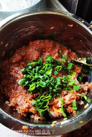 牛肉萝卜馅水饺的做法步骤:29