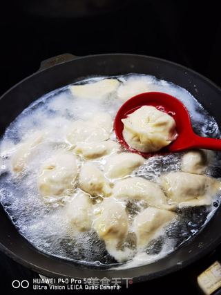 牛肉萝卜馅水饺的做法步骤:33