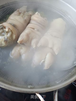 猪蹄冻的做法步骤:3