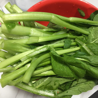 蒜蓉蚝油菜芯的做法步骤：2