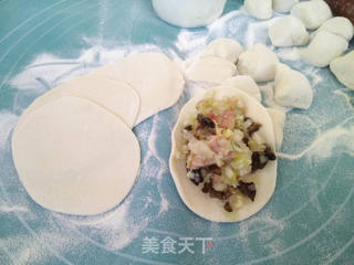 鸡肉白菜馅水饺的做法步骤:8