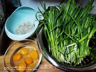 韭菜鸡蛋馅饺子的做法步骤:2