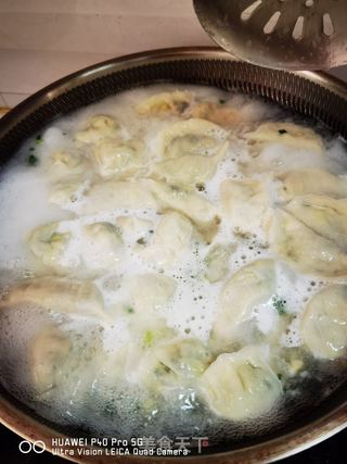 韭菜鸡蛋馅饺子的做法步骤:12