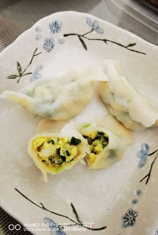 韭菜鸡蛋馅饺子的做法步骤:14