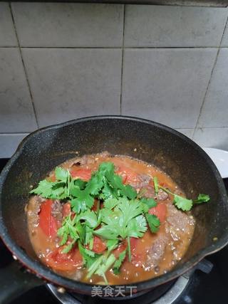 牛肉煮番茄的做法步骤:10
