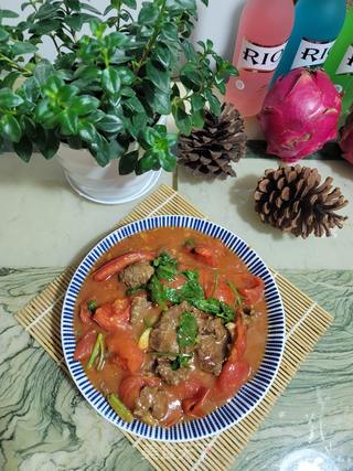 牛肉煮番茄的做法步骤:12