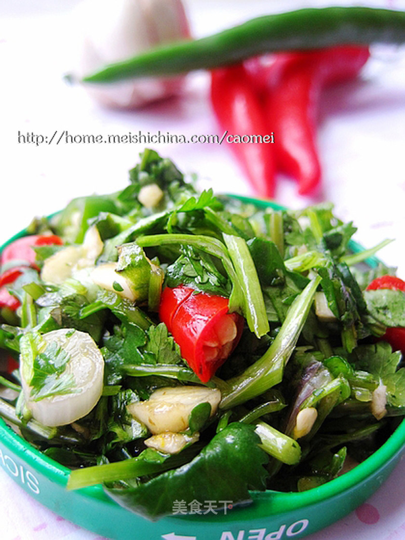 https://i3i620.meishichina.com/attachment/recipe/201101/201101290905213.jpg?x-oss-process=style/p800的做法