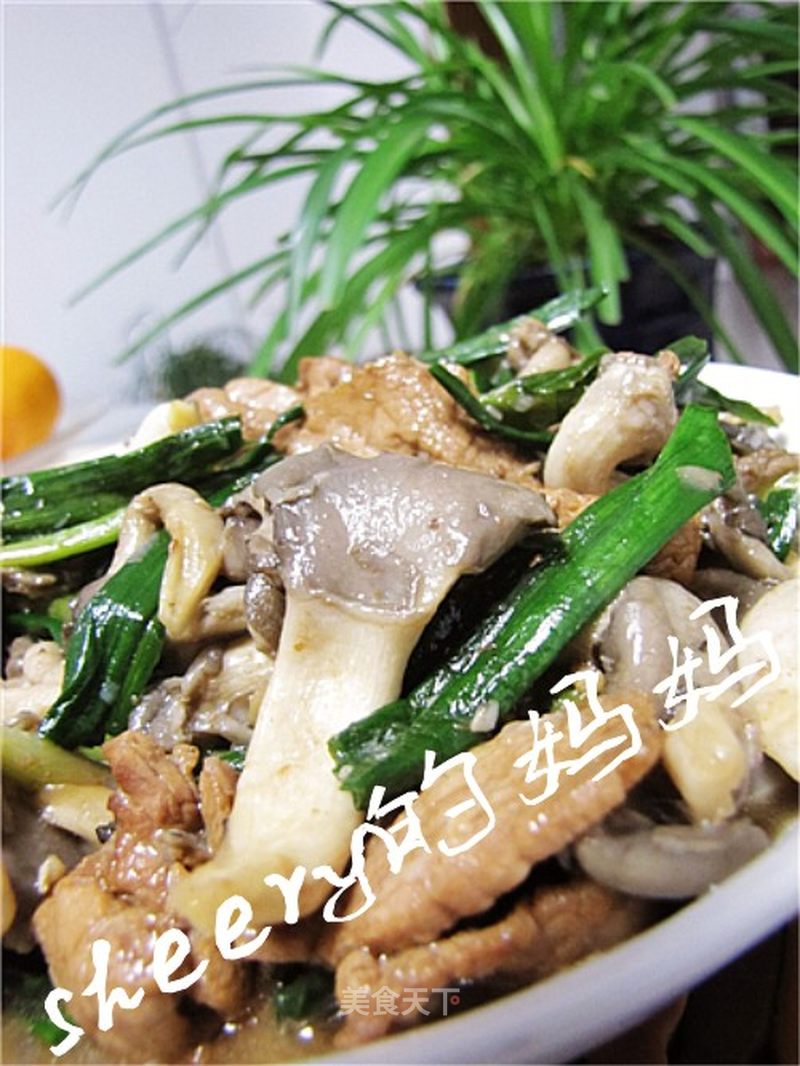https://i3i620.meishichina.com/attachment/recipe/201102/201102161547460.jpg?x-oss-process=style/p800的做法