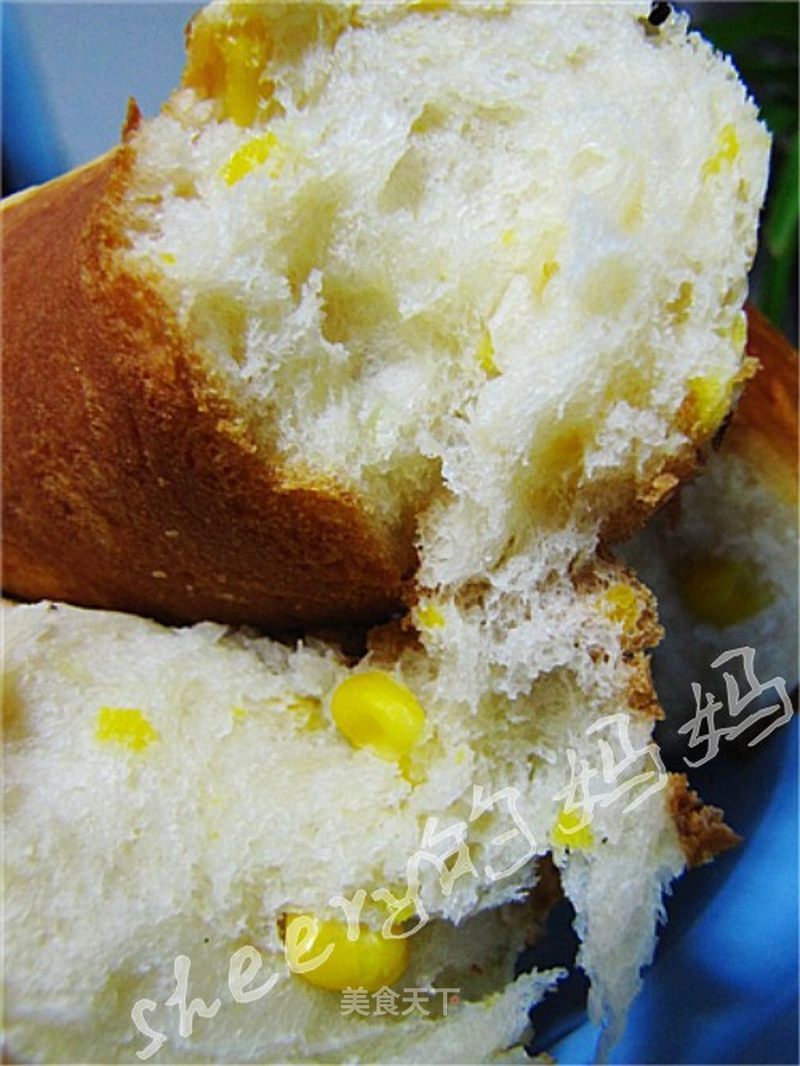 https://i3i620.meishichina.com/attachment/recipe/201102/201102171513247.jpg?x-oss-process=style/p800的做法