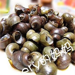 https://i3i620.meishichina.com/attachment/recipe/201104/201104181025574.jpg?x-oss-process=style/p800的做法
