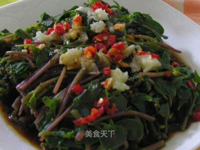 https://i3i620.meishichina.com/attachment/recipe/201106/201106081607023.jpg?x-oss-process=style/p800的做法