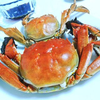 https://i3i620.meishichina.com/attachment/recipe/201109/201109192134111.jpg?x-oss-process=style/p800的做法