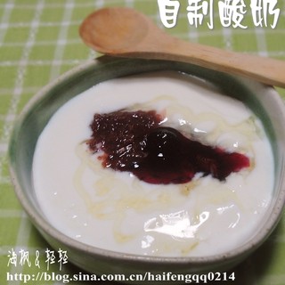 自制酸奶