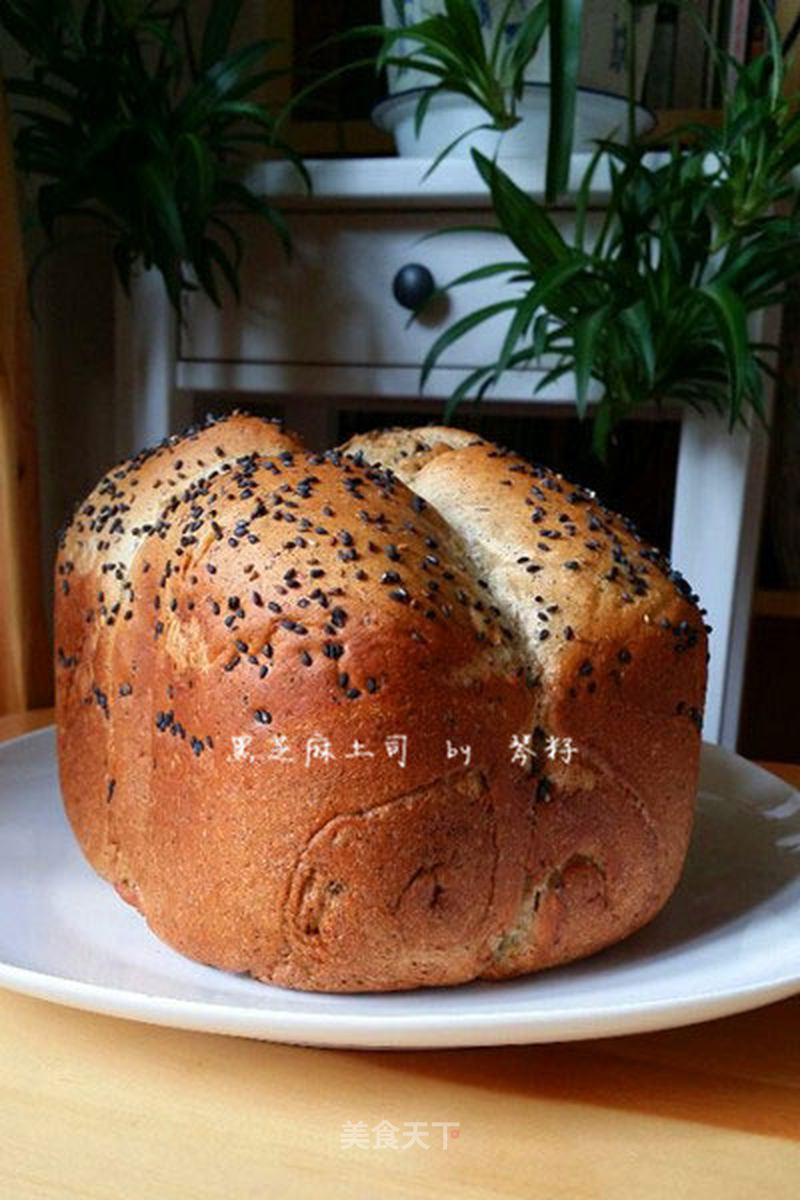https://i3i620.meishichina.com/attachment/recipe/2014/04/29/20140429210715715273007.jpg?x-oss-process=style/p800的做法