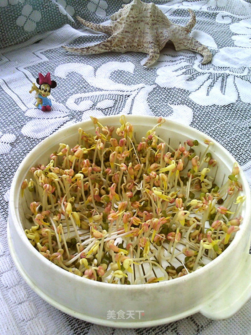 https://i3i620.meishichina.com/attachment/recipe/2015/05/09/201505094876e4ce6afcd5cb.jpg?x-oss-process=style/p800的做法