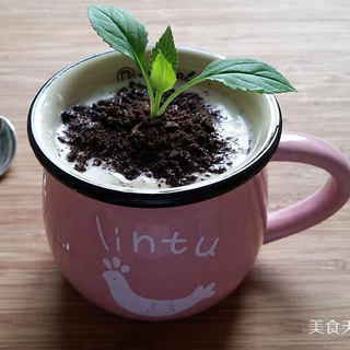 自制酸奶