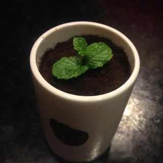 酸奶盆栽
