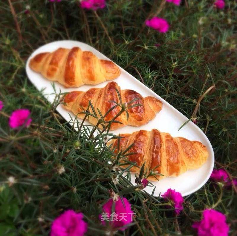 https://i3i620.meishichina.com/attachment/recipe/2017/04/18/20170418149247557726710219375.jpg?x-oss-process=style/p800的做法
