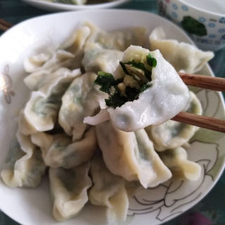 韭菜鸡蛋虾米饺子