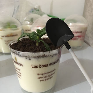 自制手工酸奶、生活更美味
