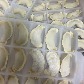 荠菜鲜肉水饺?