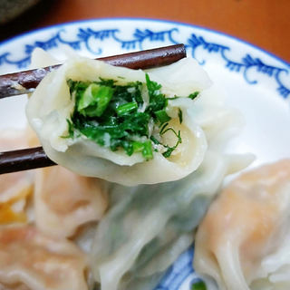 茴香饺子