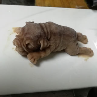 小满日食记之冰激凌小可爱